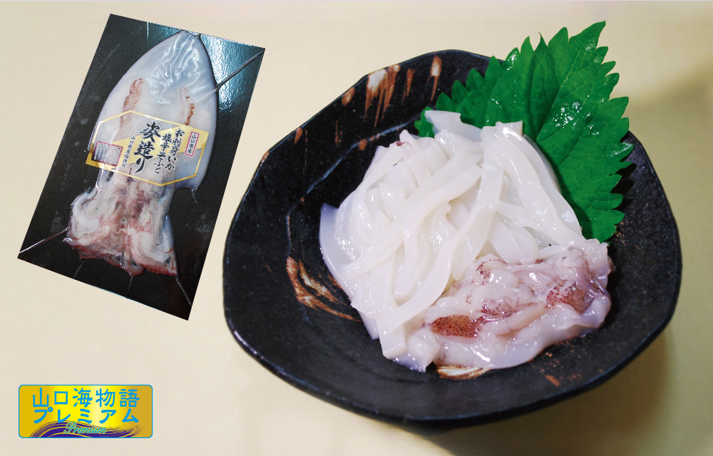 お刺身いか塩辛そふと姿造り