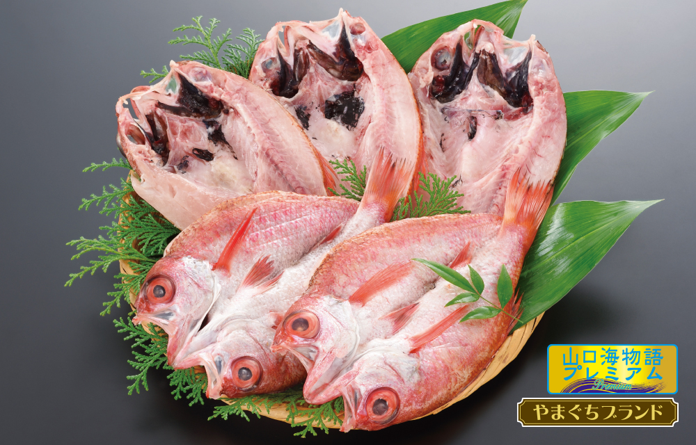 山口県産 のどぐろ開き